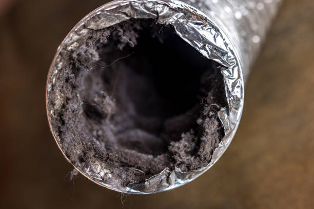 Best Air Duct Cleaning Near Me  in Brushy, OK